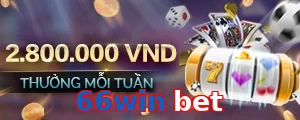 66win bet