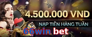 66win bet