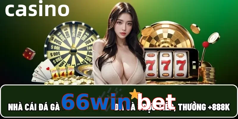 66win bet