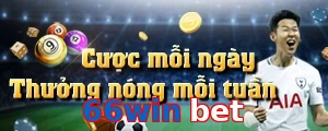 66win bet